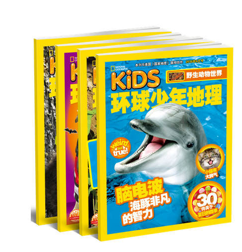 1501640074756126.png 4(4).png